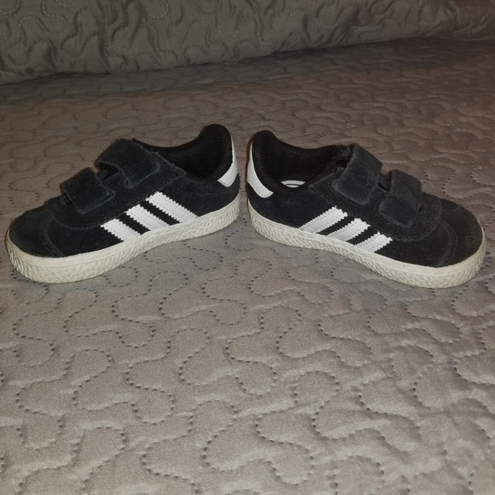Gazelles - Picture 3 of 4